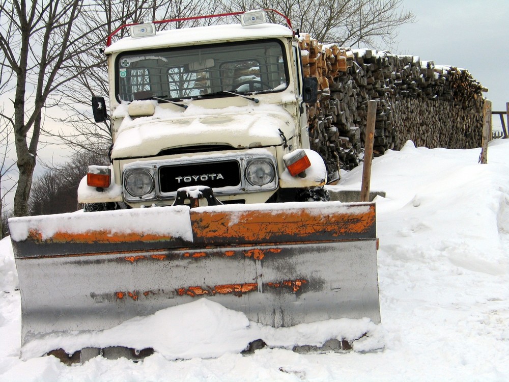 Viel Holz am Hänger