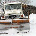 Viel Holz am Hänger