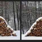 Viel Holz -> Harter Winter