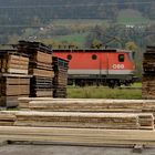 Viel Holz vor dem Haus ... [Geheimtipp Ennstal]