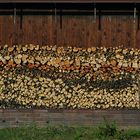 Viel Holz vor der Hütte