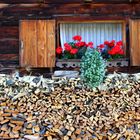 Viel Holz vor der Hütte