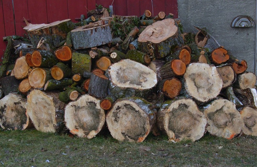 Viel Holz vor der Hütte