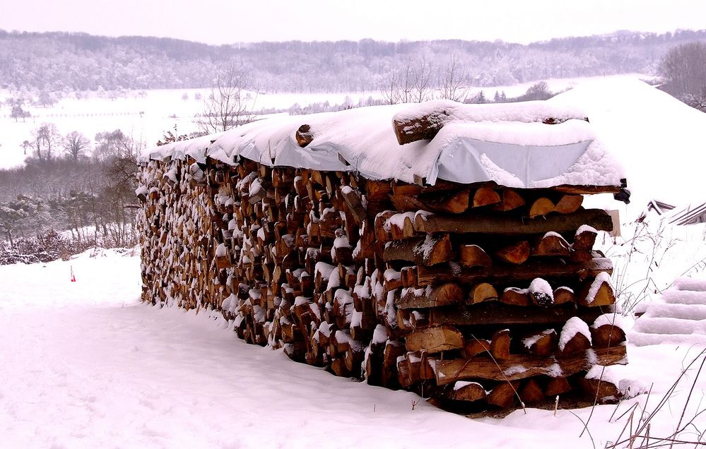 Viel Holz vor der Hütten...