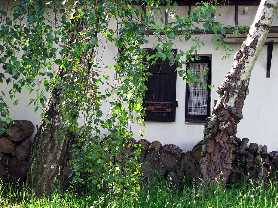 Viel Holz vor der Hütt`n