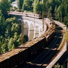 Viel Holz vor die Hütte [Südbahnexkursionen]