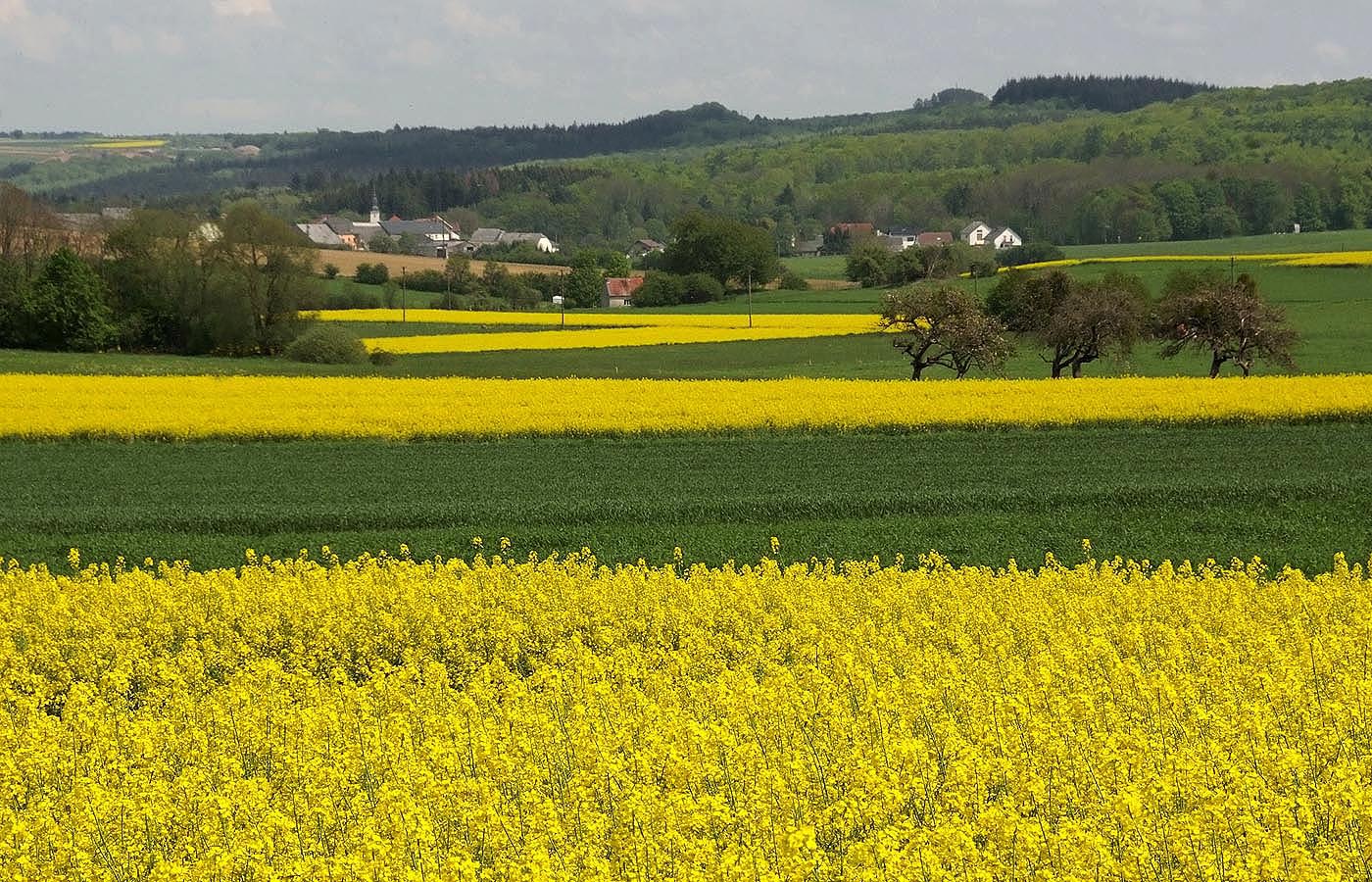 Viel Landleben und Landschaft ...