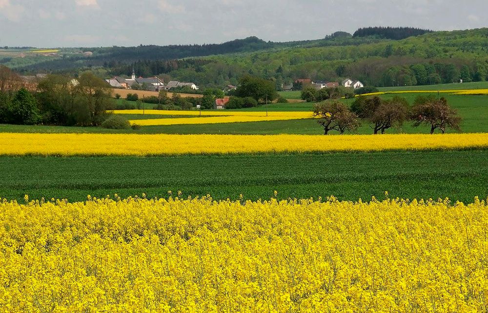 Viel Landleben und Landschaft ...