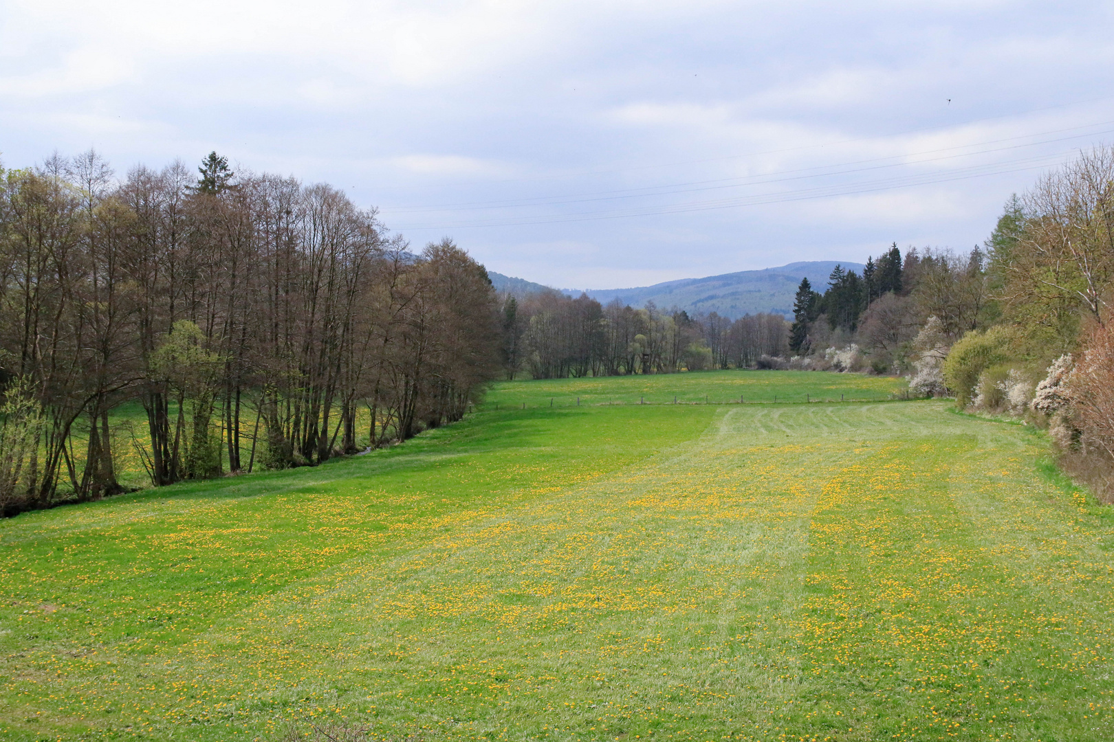 Viel Landschaft