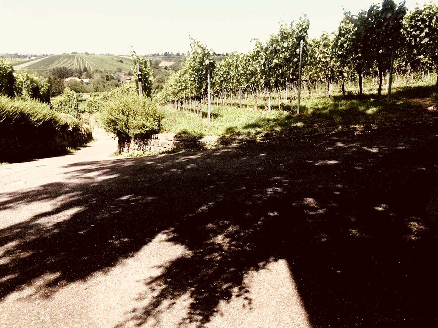 Viel Licht und große Schatten 