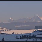 Viel Licht und lange Schatten