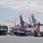 Viel los im Hamburger Hafen