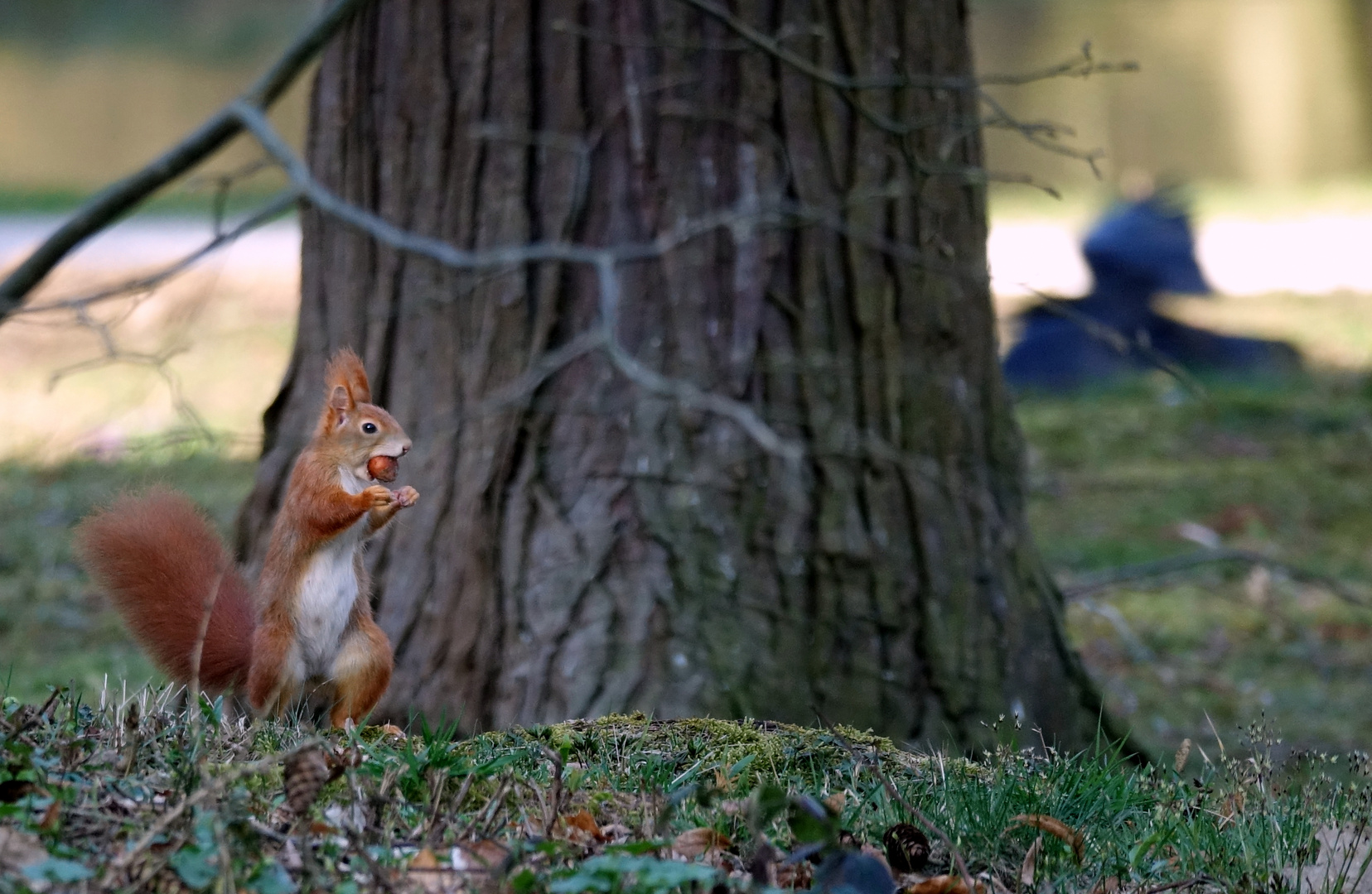 viel los im Park :-)