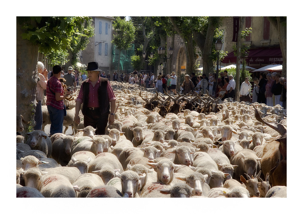 Viel los in den Straßen von St-Rémy