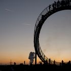 Viel los - rund um Tiger & Turtle