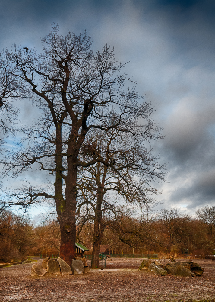 viel Natur