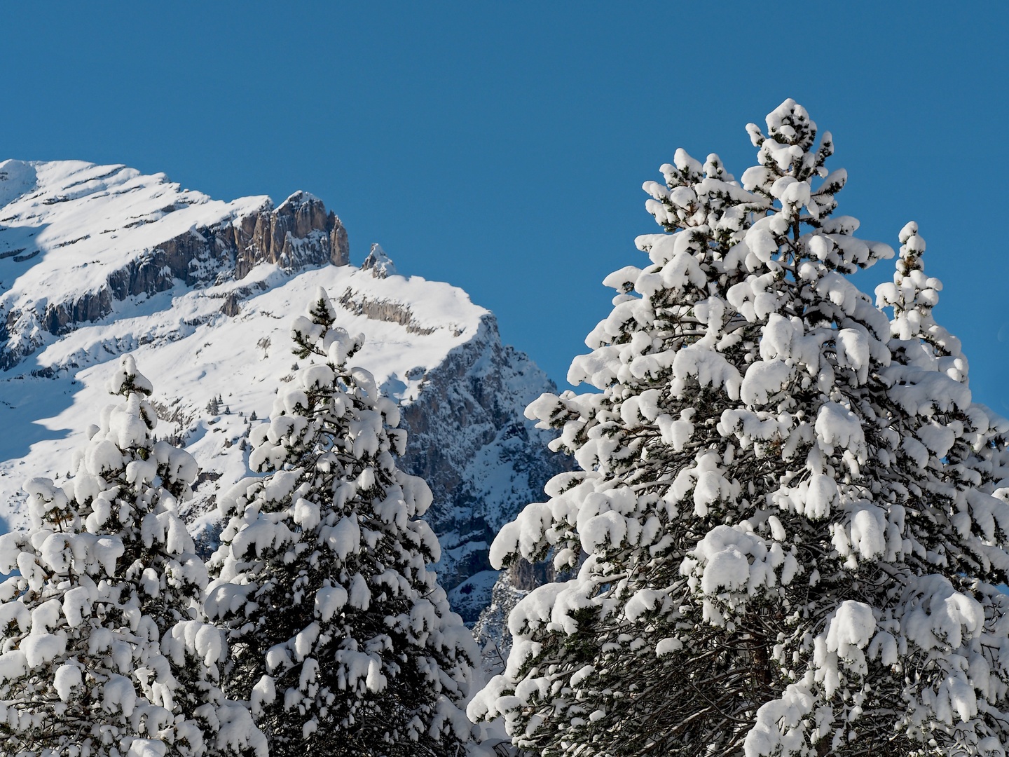 Viel Neuschnee in den Bergen ...