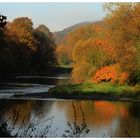 viel Schatten im Herbst