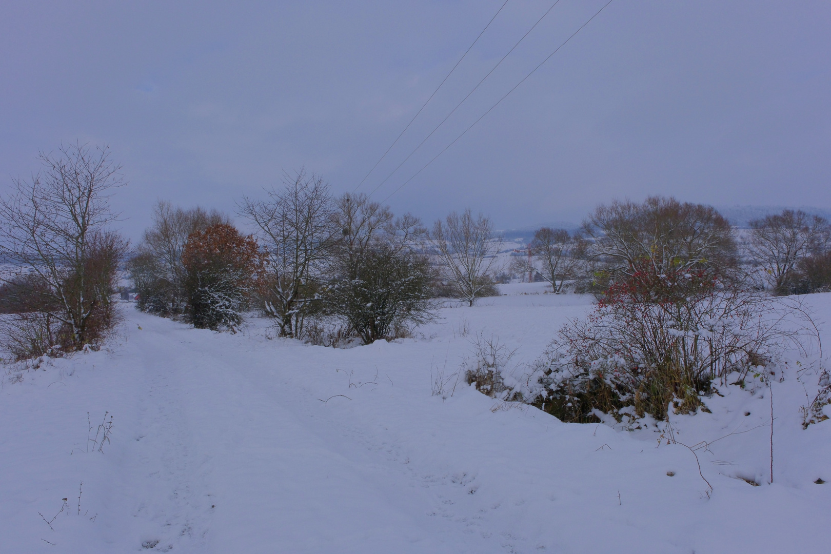 viel Schnee am See