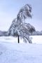 viel Schnee von Michael Meinert