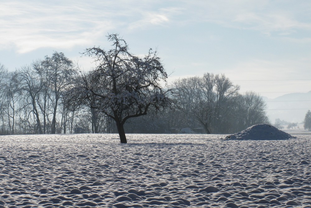 viel Schnee