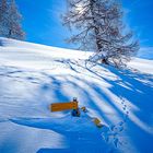  Viel Schnee im Binntal