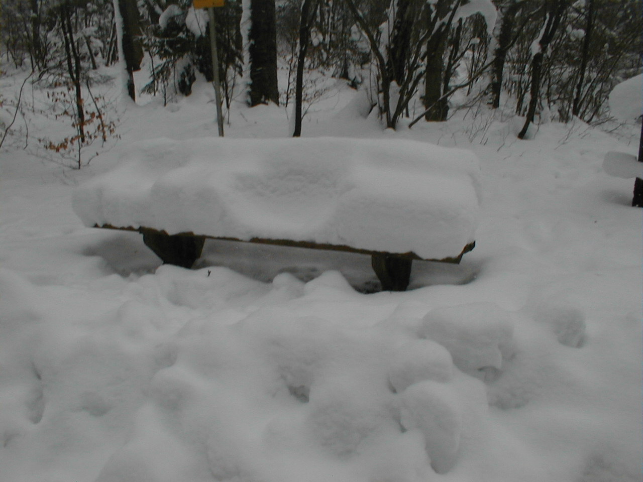 Viel Schnee im Sauerland