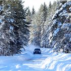 Viel Schnee in Schweden