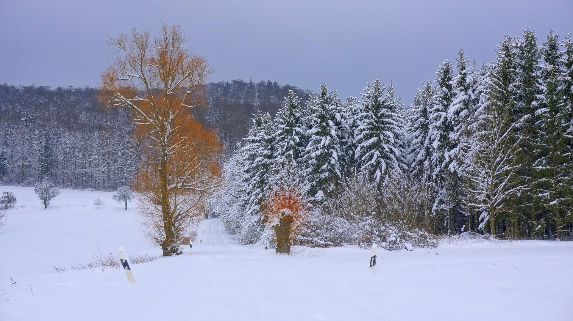 viel Schnee (mucha nieve)