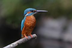 Viel schöner kriege ich ihn nicht...!