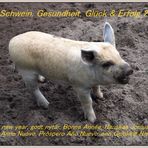 viel Schwein 2009