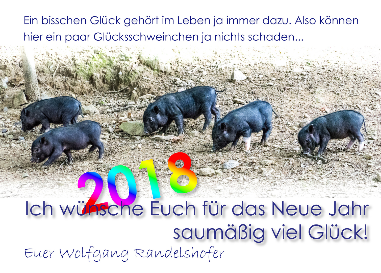 Viel Schwein für 2018  :-)