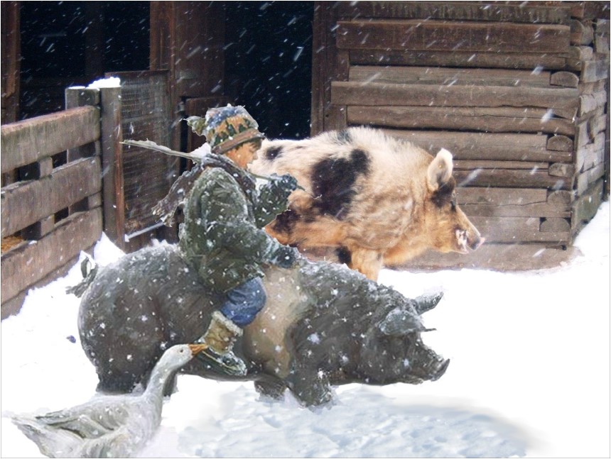 viel Schwein im neuen Jahr!