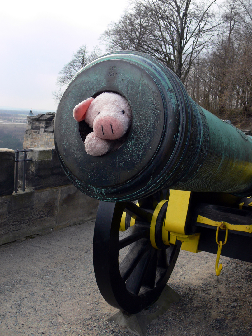 Viel Schwein im neuen Jahr :-)