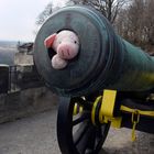 Viel Schwein im neuen Jahr :-)