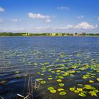 Viel See und viel Landschaft