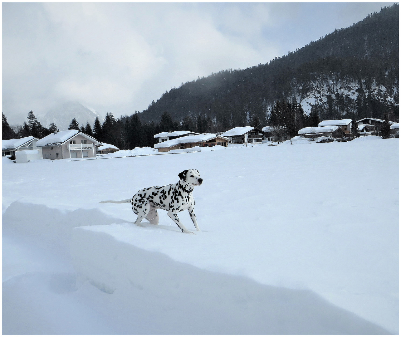 Viel Spaß im Tiefschnee