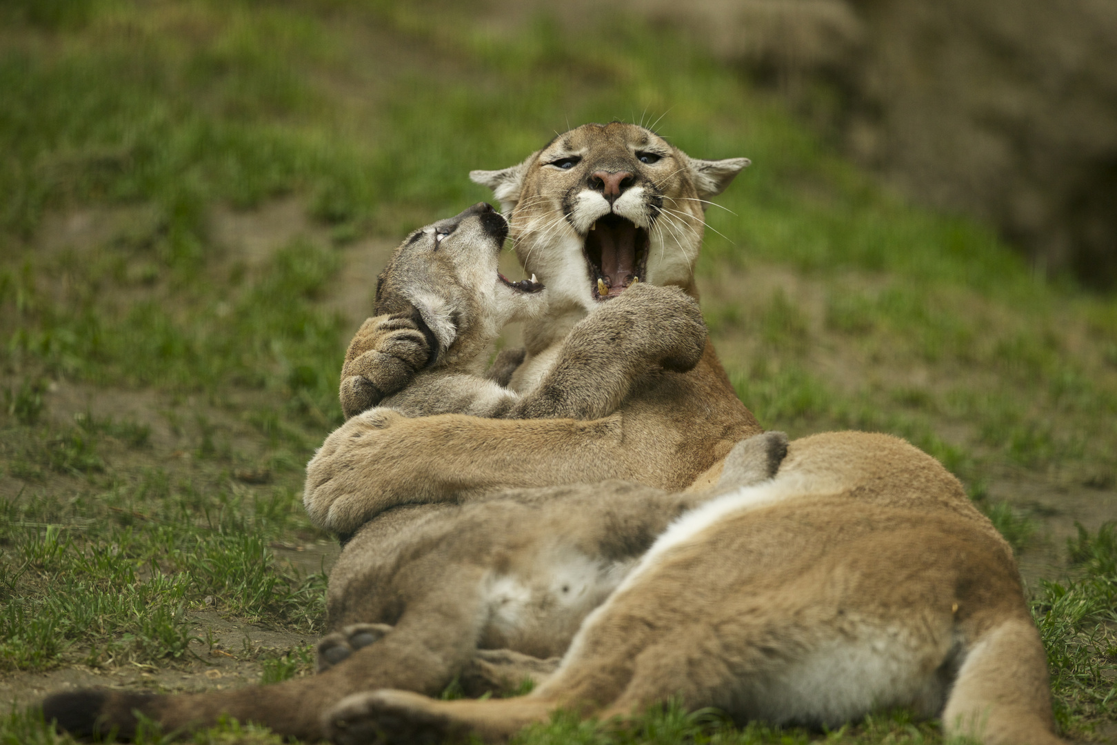 Viel Spaß mit Mama!