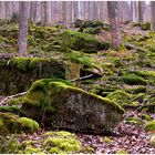 Viel Steine gab es im Märchenwald ,