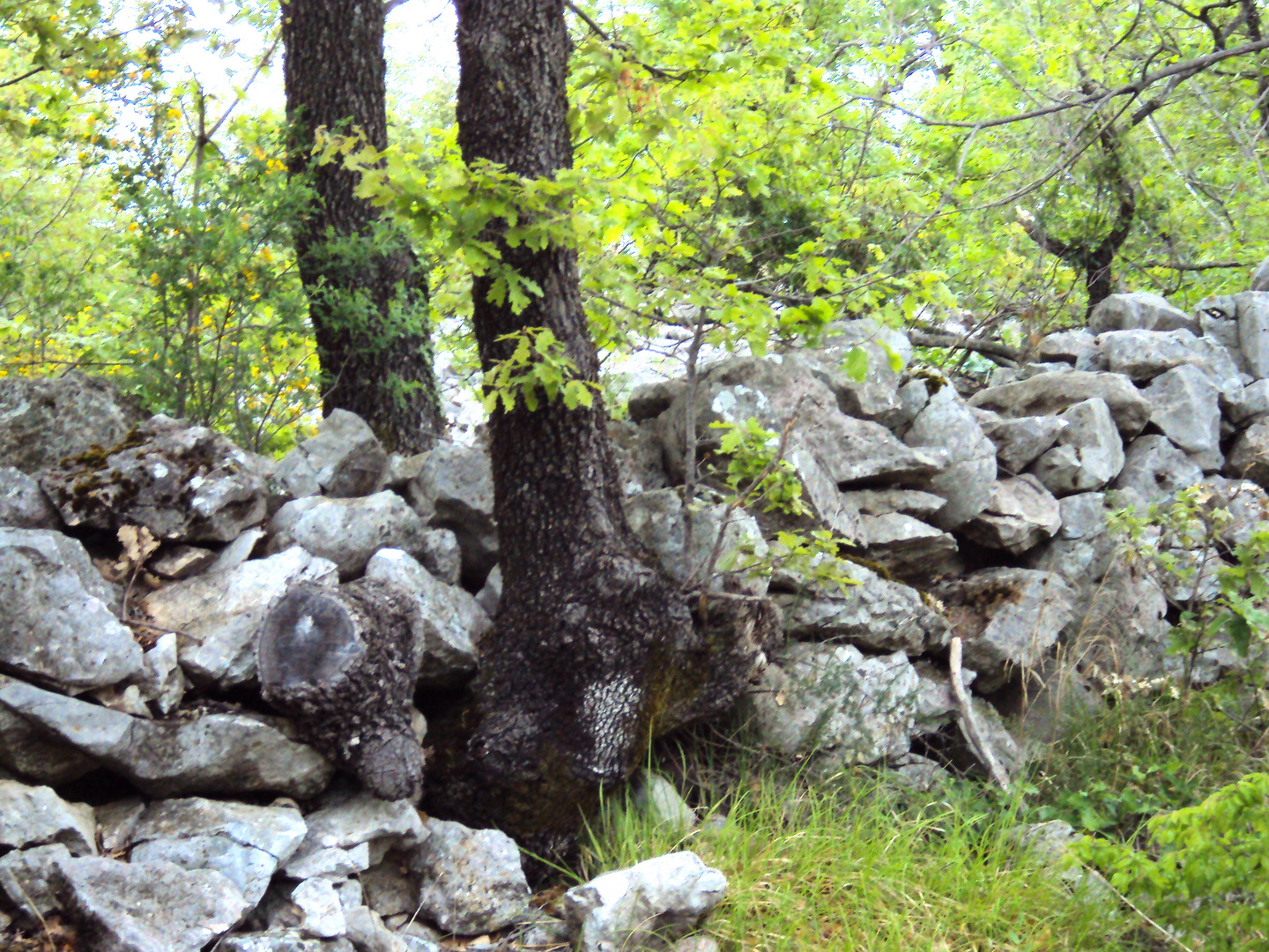 Viel Steine gabs und wenig Brot