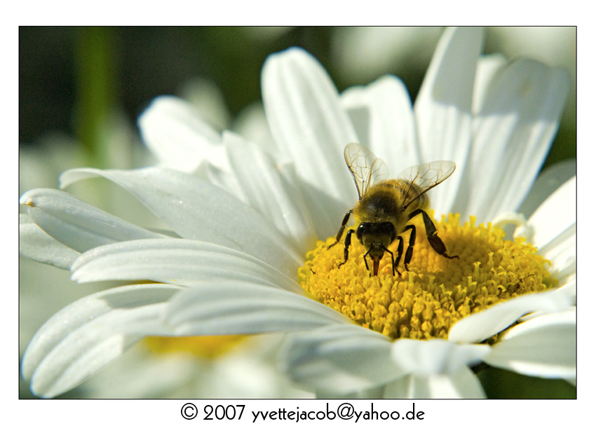 Viel trinken ist gesund!