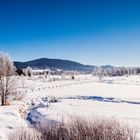 Viel unbewohnte Natur um Strážný - CZ040