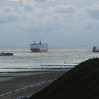 Viel Verkehr auf der Westerschelde zur blauen Stunde