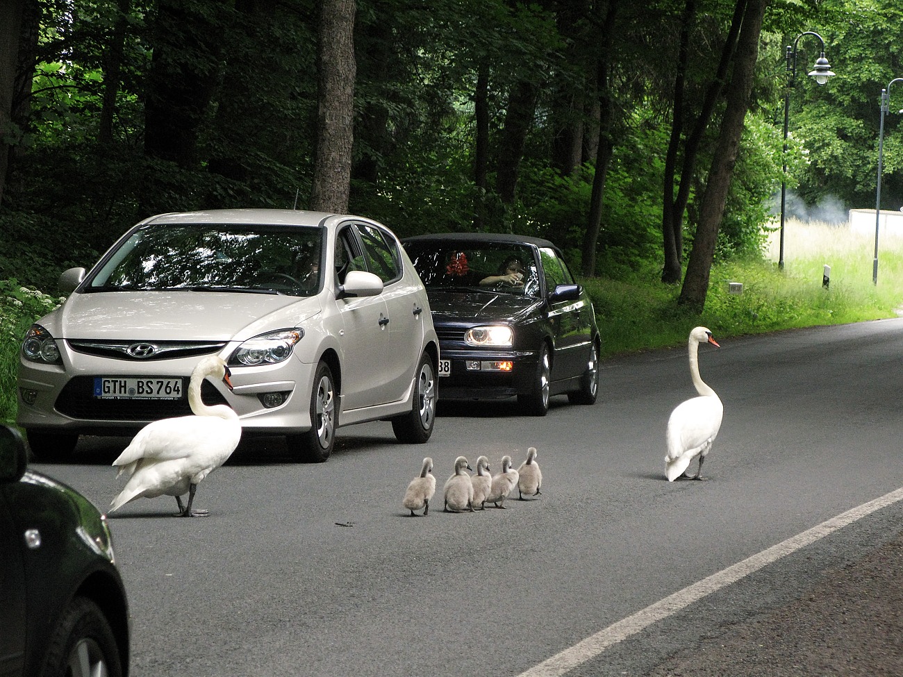 viel Verkehr beim Familienausflug