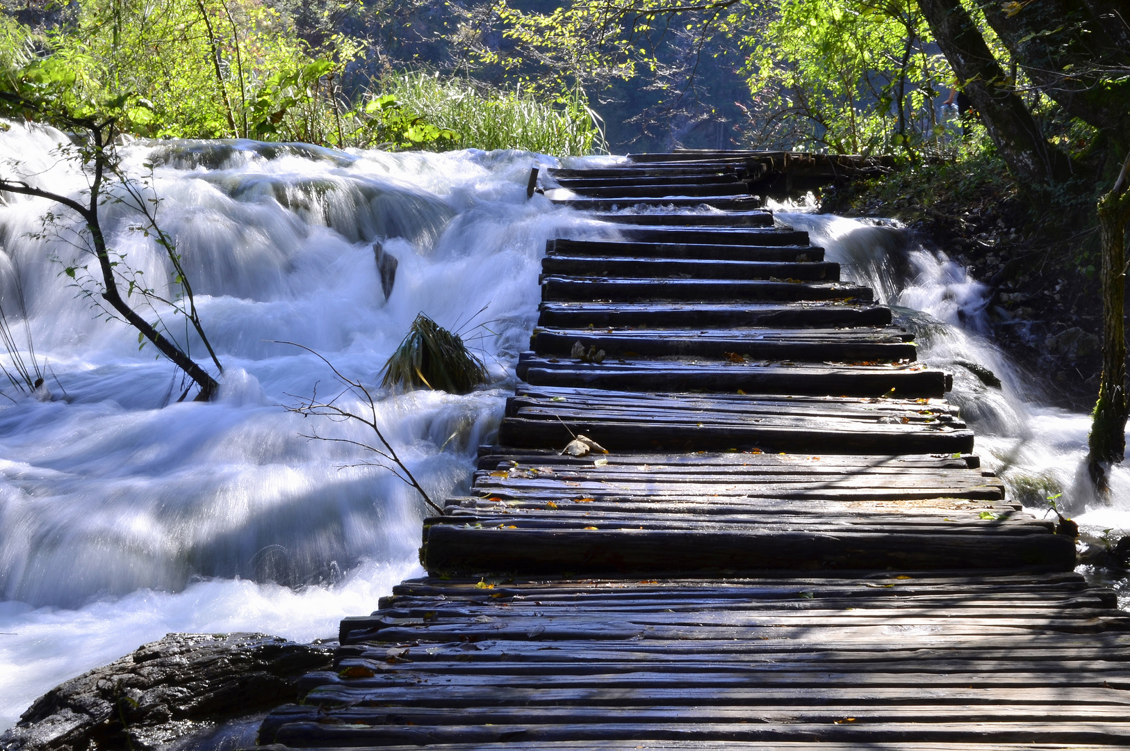 Viel Wasser....