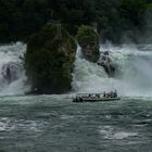 Viel Wasser am Rheinfall