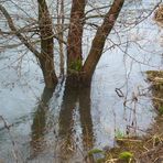 Viel Wasser in der Wupper ....