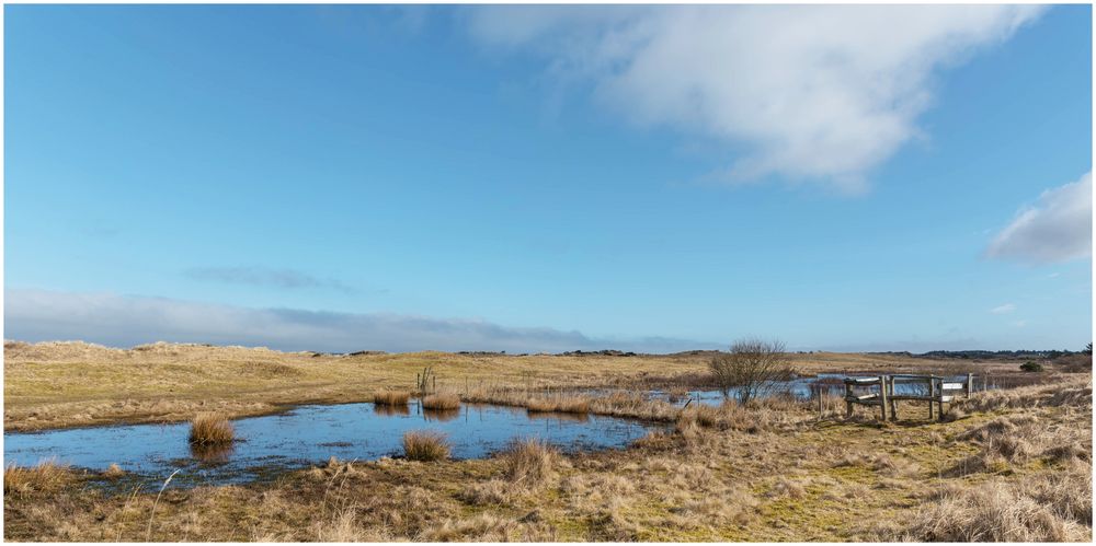 Viel Wasser zwischen den Dünen