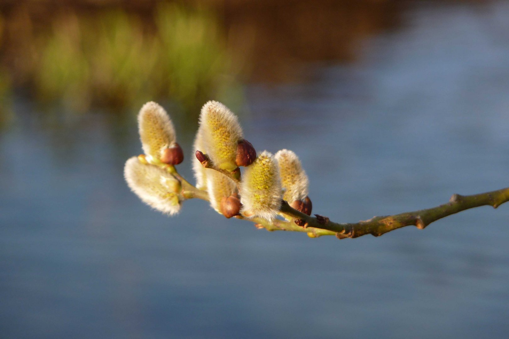 ... viel weiter als den ganzen Weg bis zum Fluss runter...