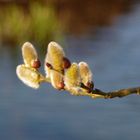 ... viel weiter als den ganzen Weg bis zum Fluss runter...